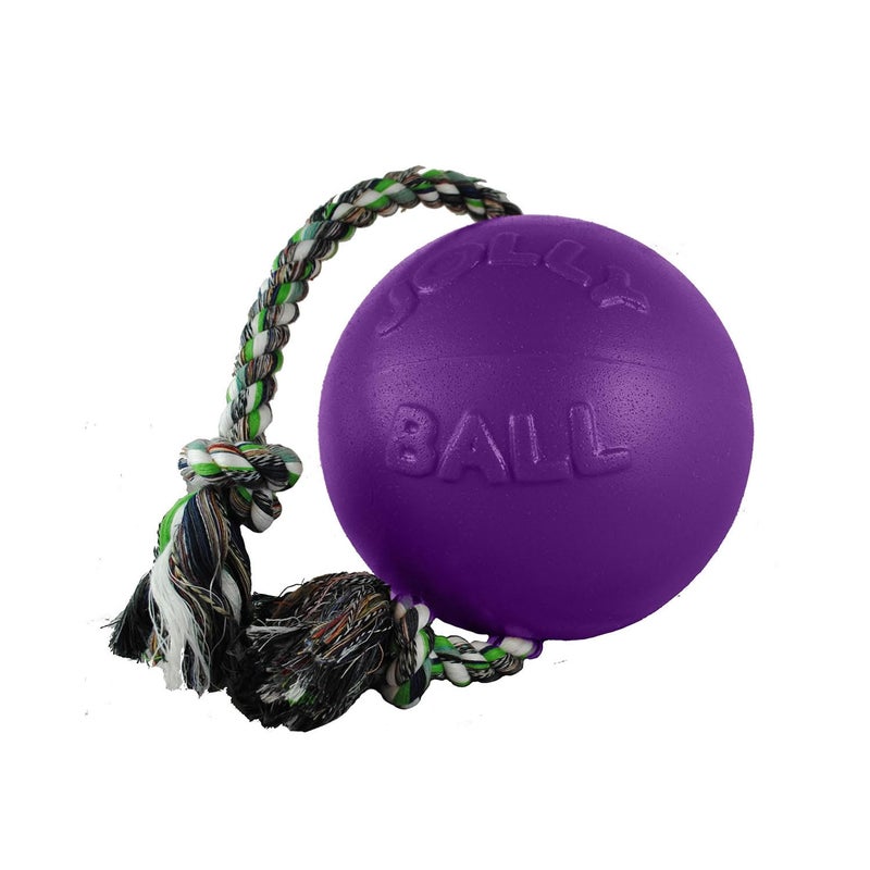 Jolly Pets Romp-n-Roll Rope and Ball Dog Toy, 4.5 Inches/Small, Blueberry for All Breed Sizes - Image 4